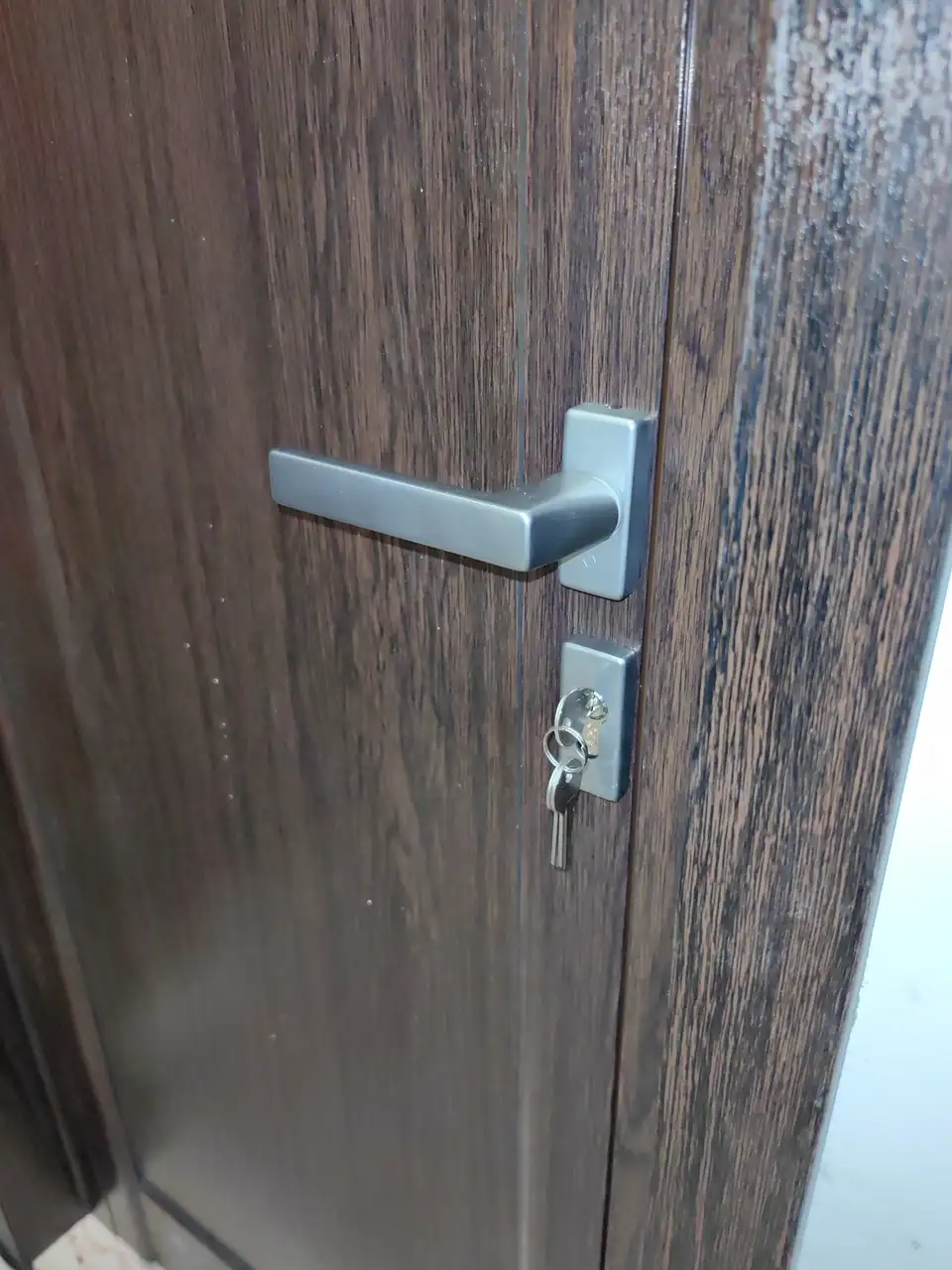 Врати за баня, Топизпълнение — снимка 11